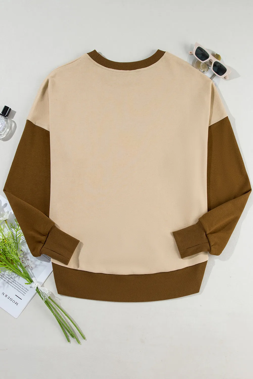 Casual Color Block Thumbhole Sleeve Drop Shoulder Sweatshirt
