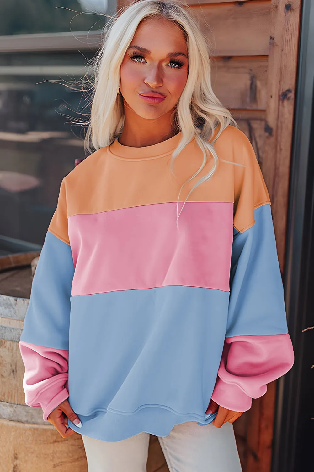 Colorblock Patchwork Drop Shoulder Sweatshirt
